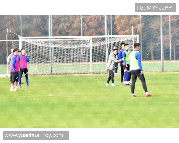 战术革新！新教练如何激活欧洲杯？